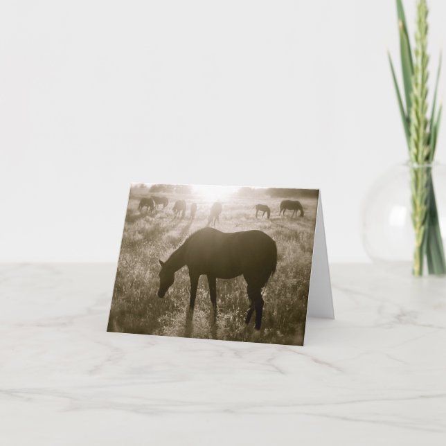 The Black Hills Wild Horse Sanctuary Notecard (Front)
