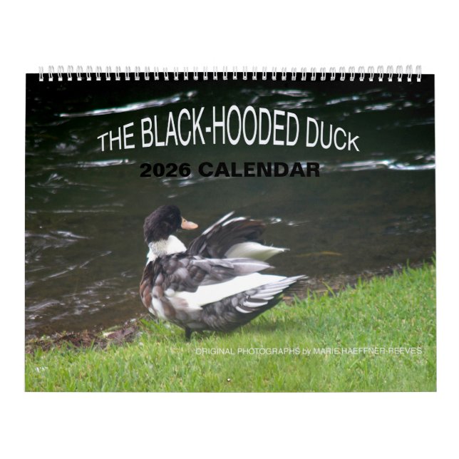 THE BLACK-HOODED DUCK 2026 CALENDAR (Cover)