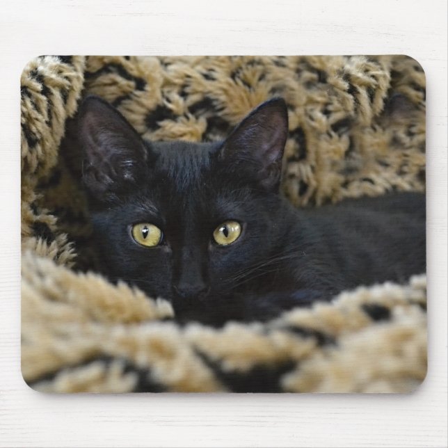 The Black Kitten Mouse Pad (Front)