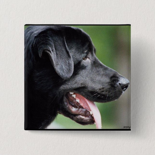 The Black Labrador Pinback Button (Front)
