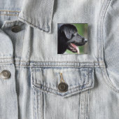 The Black Labrador Pinback Button (In Situ)