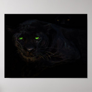 The black panther poster