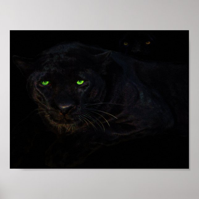 The black panther poster (Front)