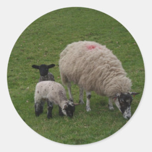 The Black Sheep Classic Round Sticker