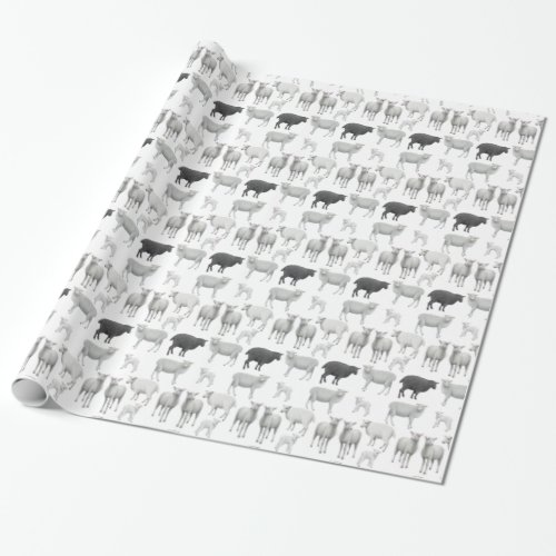 The Black Sheep  Dare to be Different Gift Wrap
