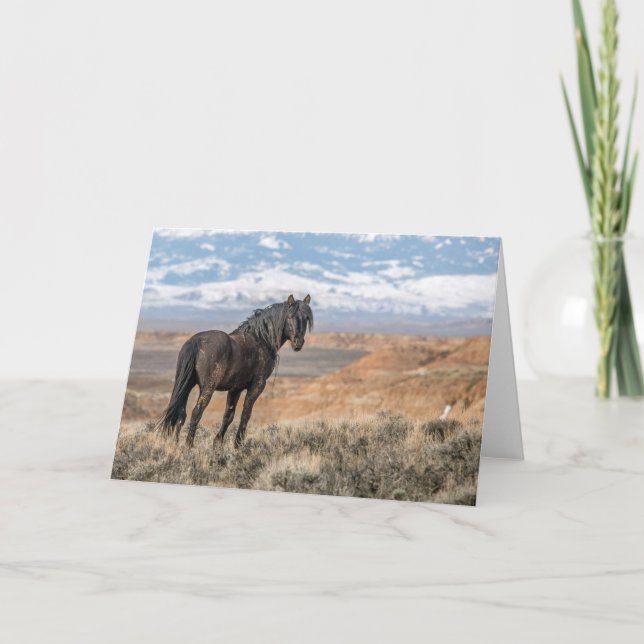 "The Black Stallion" Note Card (Front)