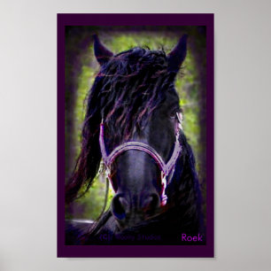 The Black Stallion Print