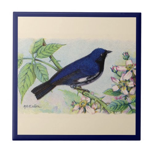 The Black_Throated Blue Warbler Bird Ceramic Tile