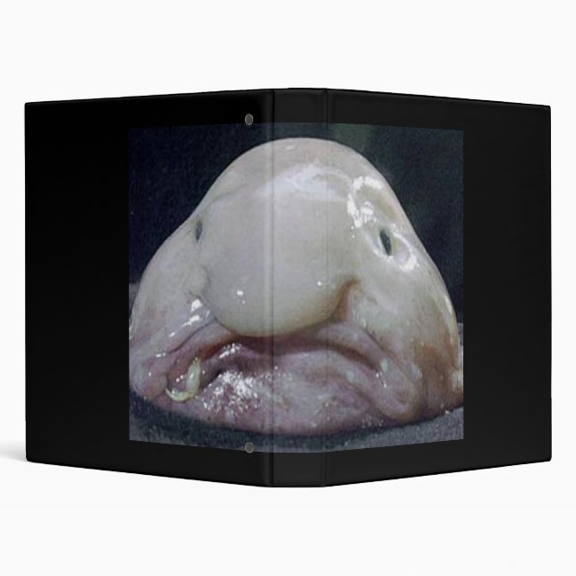 The Blobfish 3 Ring Binder (Background)