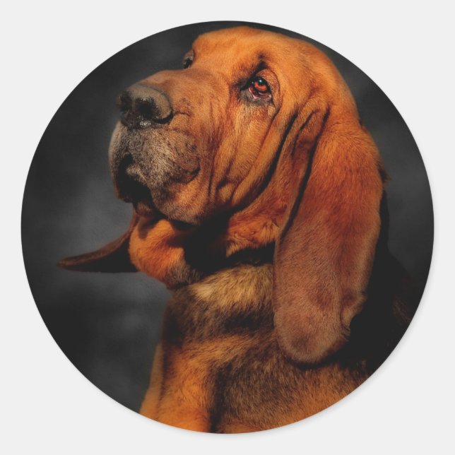 The Bloodhound Classic Round Sticker (Front)