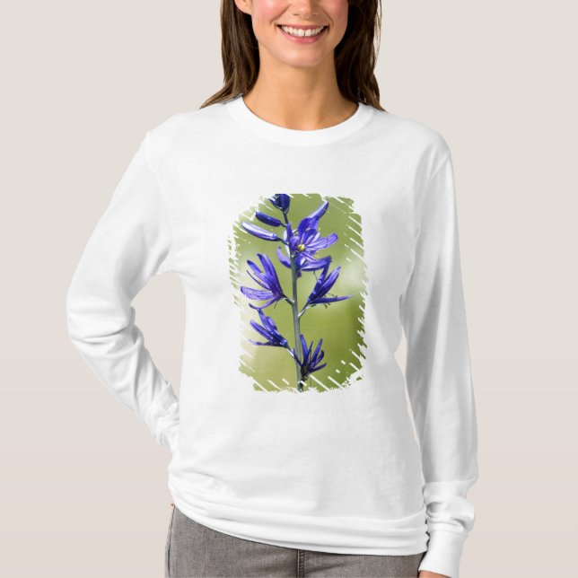 The blossom of a camas lily in Valley County, T-Shirt (Front)