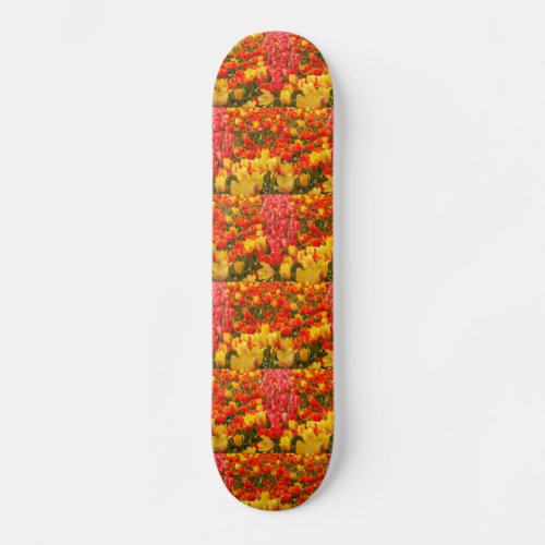 the blossoming of tulips in a park on skateboard