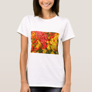 THE BLOSSOMING OF TULIPS IN A PARK T-SHIRT