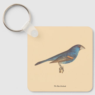 The Blue Grosbeak, James De Kay's New York Birds Keychain