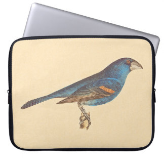 The Blue Grosbeak, James De Kay's New York Birds Laptop Sleeve
