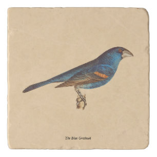 The Blue Grosbeak, James De Kay's New York Birds Trivet