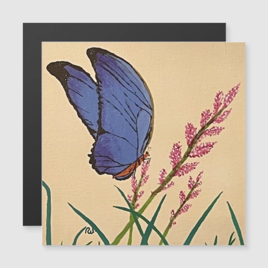 The Blue Morpho Butterfly (Front/Back)