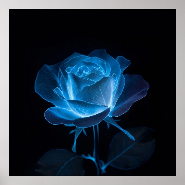 The Blue Rose Bioluminescent Flower on Black Poster (Front)