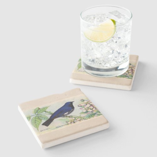 The Blue Warbler Stone Coaster