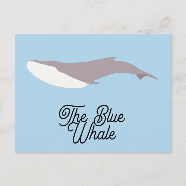 The Blue Whale Color Block Holiday Postcard (Front)