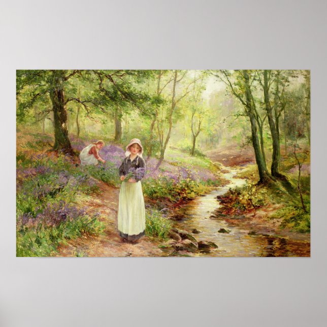 The Bluebell Glade Poster (Front)