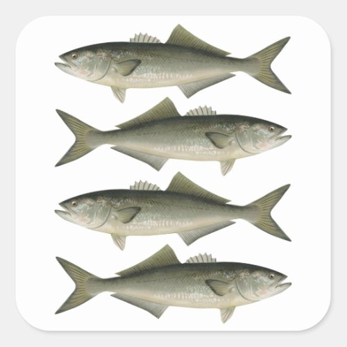 The Bluefish Fishing Adventure Square Sticker