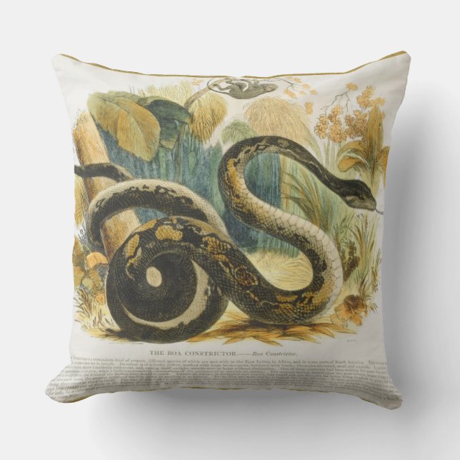 The Boa Constrictor, educational illustration pub. Throw Pillow (Front)