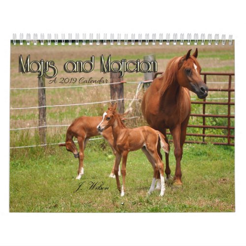 The BOGO Colts_ 2019 Calendar_ Foal photos Calendar