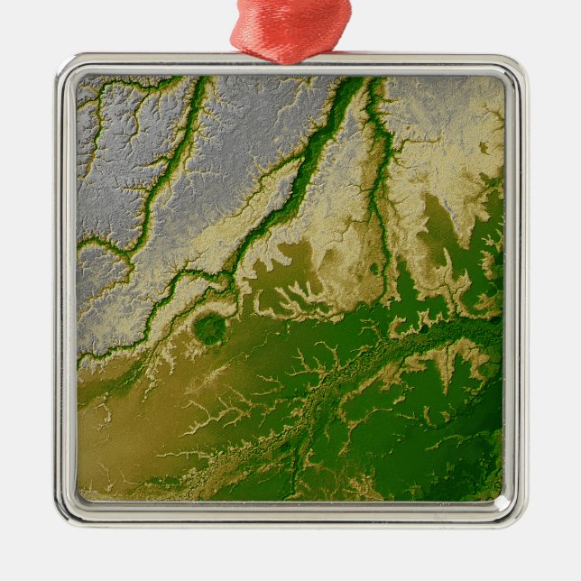 The Bolivian Amazon Metal Ornament (Front)