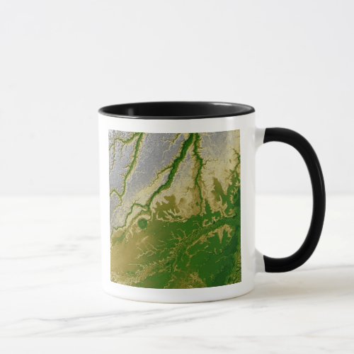 The Bolivian Amazon Mug