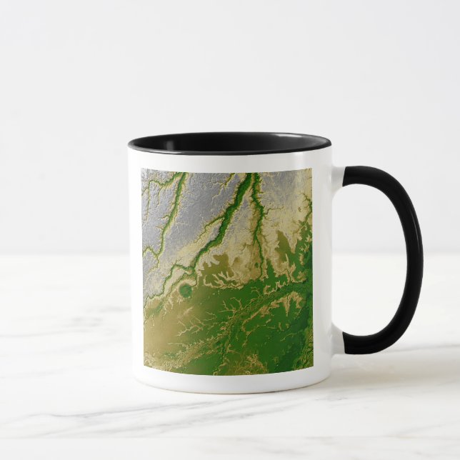 The Bolivian Amazon Mug (Right)