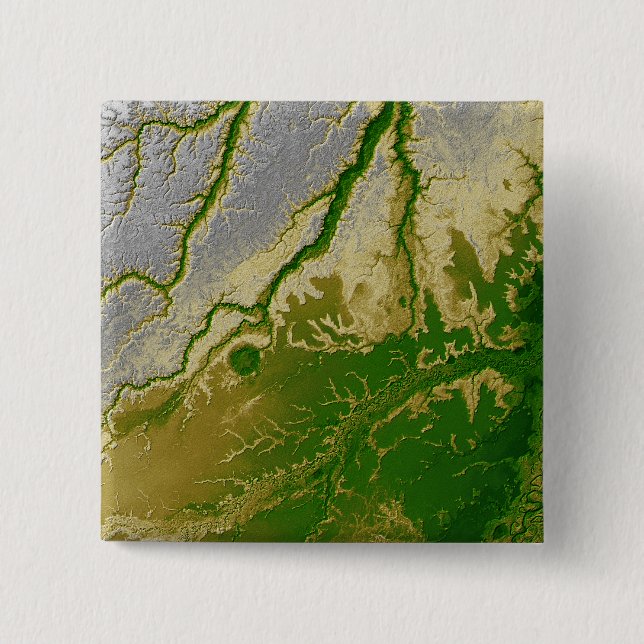 The Bolivian Amazon Pinback Button (Front)