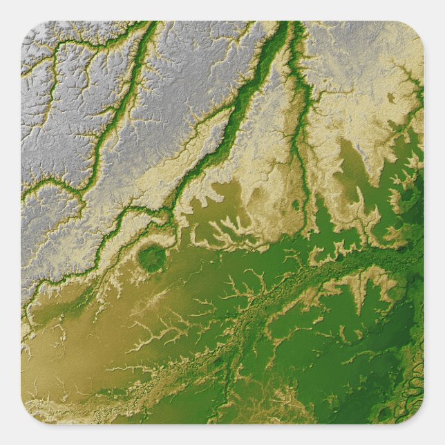 The Bolivian Amazon Square Sticker (Front)