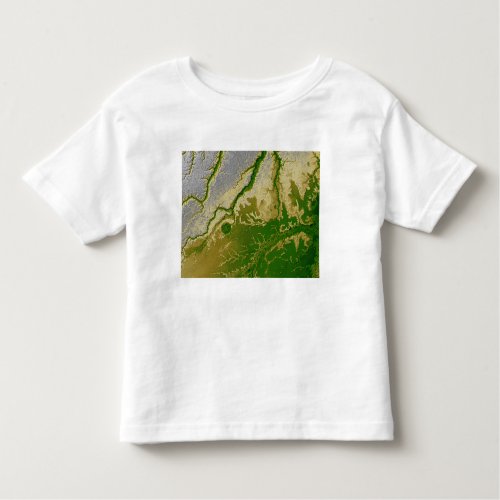 The Bolivian Amazon Toddler T_shirt