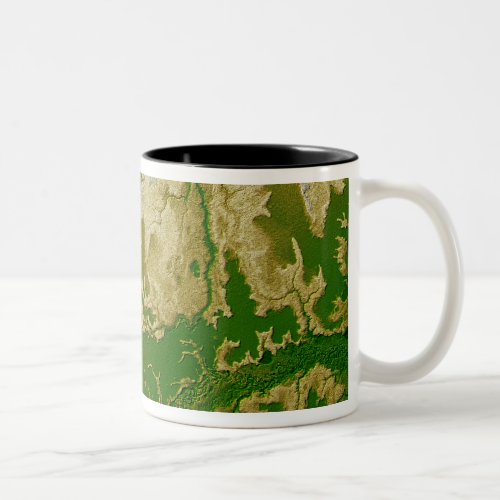 The Bolivian Amazon Two_Tone Coffee Mug