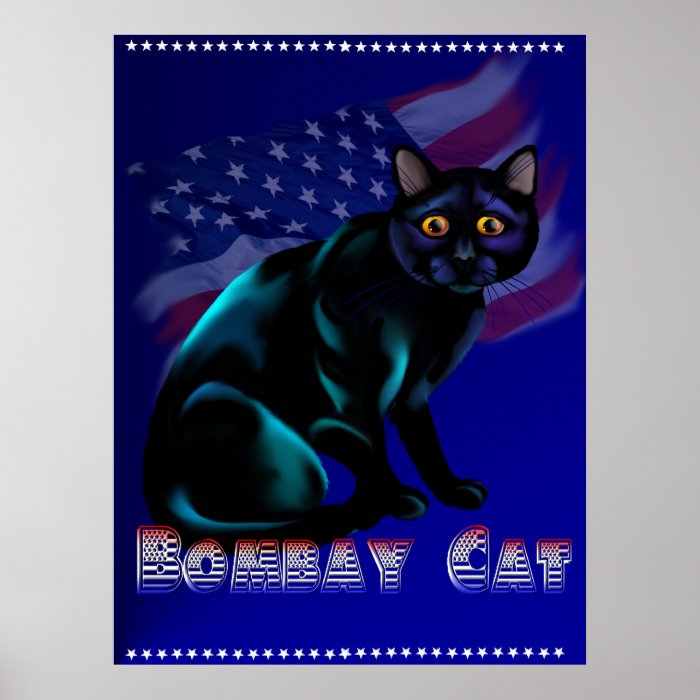 The Bombay Cat Poster