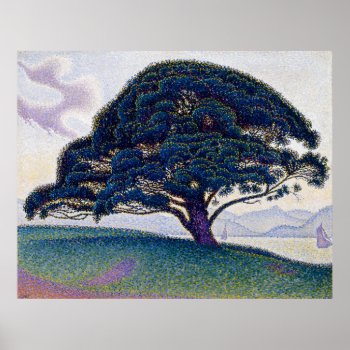 The Bonaventure Pine By Paul Signac Poster by Amazing_Posters at Zazzle