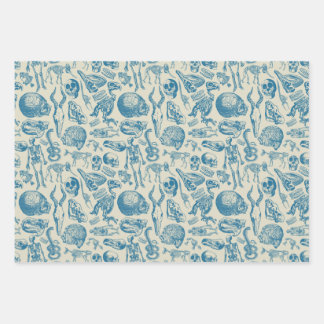 The Bone Collection Wrapping Paper Sheets