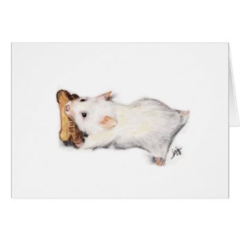 The Bone Thief (hamster) Cards by jaisjewels at Zazzle