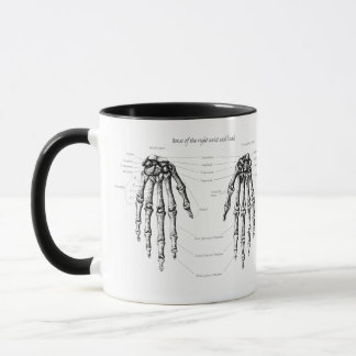 The bones of the human hand - details mug