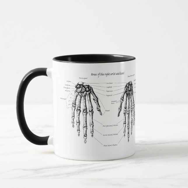 The bones of the human hand - details mug (Left)