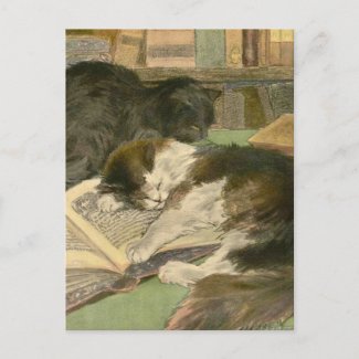 The Book of the Cat: Great Panjandrum Postcard