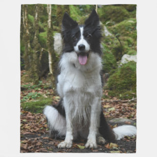 The BORDER COLLIE Fleece Blanket