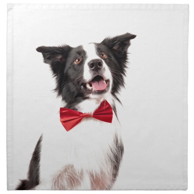 The Border Collie Napkin (Front)