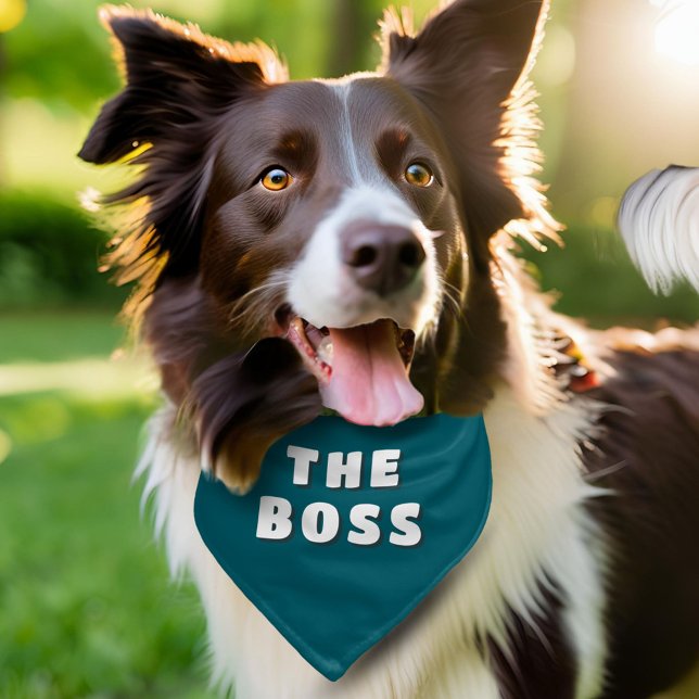 The Boss Funny Quote Dog Pet Bandana Collar (Creator Uploaded)