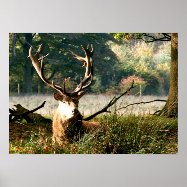 The Boss Poster (Front)