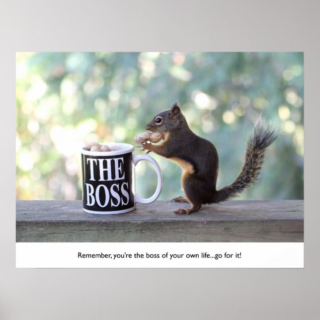 "The Boss" Squirrel Poster (Front)