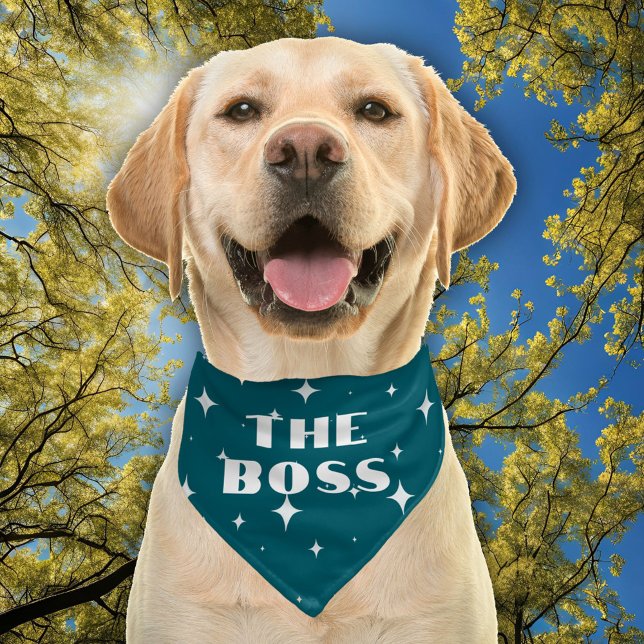 The Boss Star Pattern Funny Dog Pet Bandana Collar (Creator Uploaded)