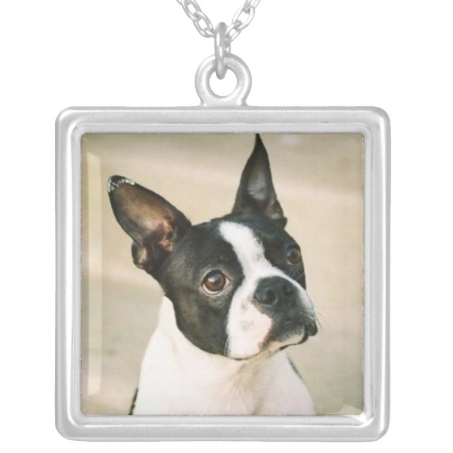 The Boston Look Necklace (Front)