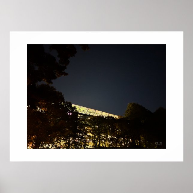 "The Bosuil Stadium by Night" -  Poster (Front)